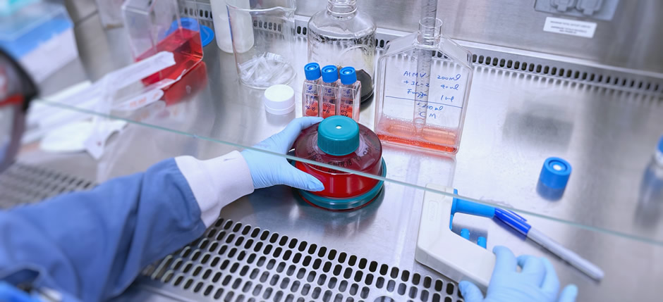 Treadwell employee Wenjing doing R&D tumor-infiltrating lymphocytes (TIL) expansion